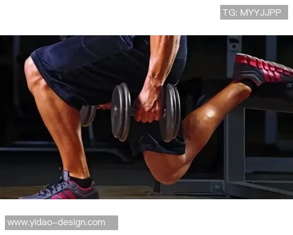 全面提升力量与耐力的哑铃杠铃健身计划助你塑造完美身材